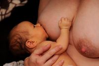 breastfeeding-841506_640